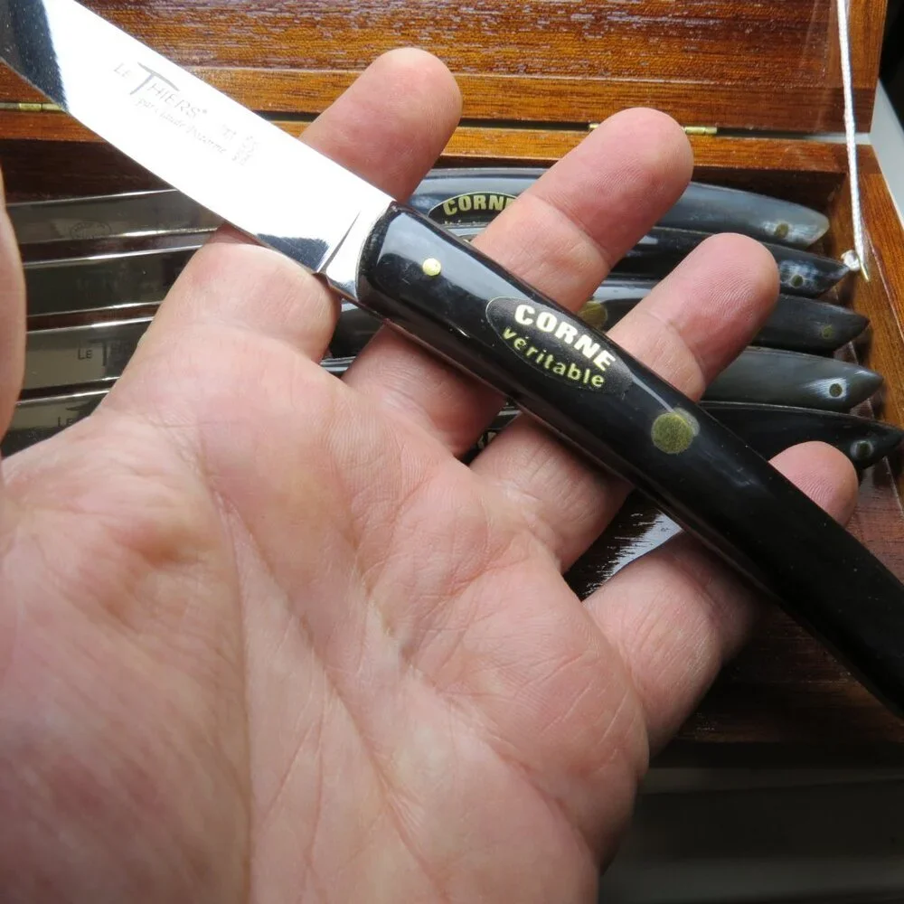 Rare pieces Laguiole steak knife by Claude Dozorme